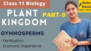 Plant kingdom Biology Class 11  Gymnosperms  Part9 [upl. by Golub669]