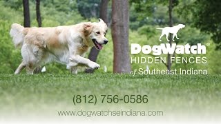 DogWatch® of Southeast Indiana  Enjoy the Freedom of our Hidden Fences [upl. by Anitnas]