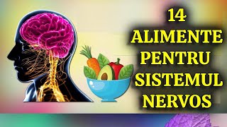 Top 14 Cele Mai Bune Alimente Pentru Sistemul Tău Nervos Neuropatie [upl. by Adahs]