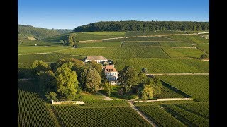 Louis Latour  An outstanding domaine [upl. by Cyril643]