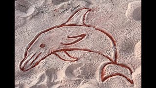 Tiny On Tour EPISODE 10 Quandong Point and Dinosaur Foot Prints [upl. by Shlomo]