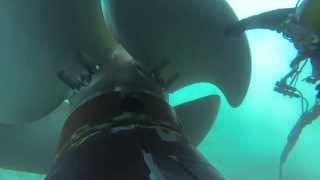 Diver removing a mooring line from a ships propeller [upl. by Eevets]