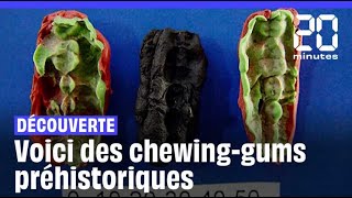 Suède  Les secrets de chewinggums préhistoriques révélés [upl. by Wavell]