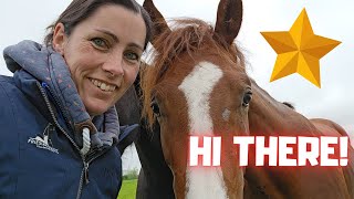 A surprise at Stal G  Have a look at Rising Star⭐ and friends  Friesian Horses [upl. by Anatnas]