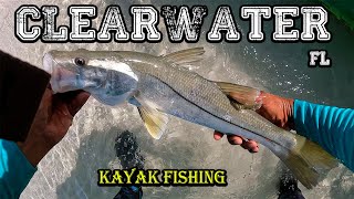 pesca de robalos en clearwater beach foryou parati viralvideo [upl. by Airitak608]