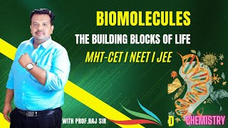 Biomolecules The Building Blocks of Life [upl. by Hatti697]