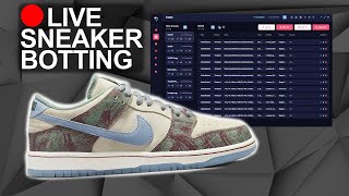 🔴LIVE  BOTTING The SB Dunk Low Crenshaw Skate Club Live Cop [upl. by Enileoj]