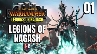 LEGIONS OF NAGASH  Legions of Nagash Mod  Total War Warhammer 3  Ep 1 [upl. by Ebsen]