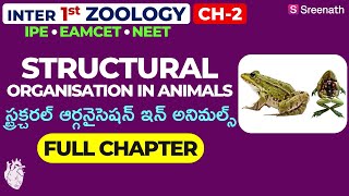 Structural Organisation In Animals Full Chapter in తెలుగు  TSAP Inter 1st Year Zoology  Chapter2 [upl. by Tahp]