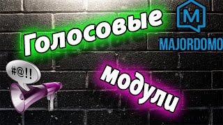 Голосовые модули в умном доме MajorDomo [upl. by Triplett]