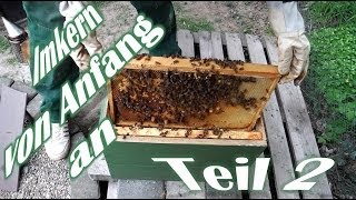 Imkern von Anfang an  Teil 2  Der erste Ableger  Das erste Bienenvolk  Bienen für Anfänger [upl. by Stockwell]