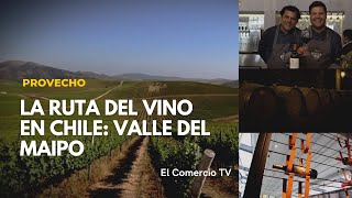 Ruta del Vino en Chile Conoce la bodega Concha y Toro Prov VideosEC [upl. by Esirehs]