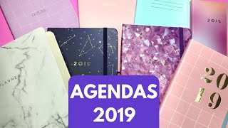 AGENDAS E PLANNER 2019 [upl. by Aryc]