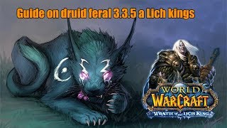 Гайд на ферала 335а PvEGuide on druid feral 335a a Lich Kings [upl. by Nnayt448]