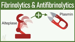 Fibrinolytics amp Antifibrinolytics Pharmacology [upl. by Eahsat798]