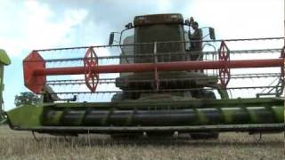 Shooting rabbits from a combine harvester [upl. by Yul644]