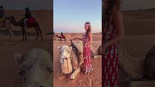 7 must do at SAHARA desert sahara saharadesertmorocco merzouga camelride morocco [upl. by Maurita]