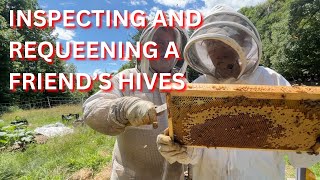 Inspecting and requeening a friends hives [upl. by Mehs]