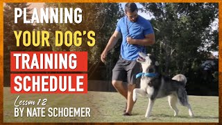 Preparing Your Training Schedule  Dog Trainer Course [upl. by Alphonsa]