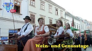 23 8 2017  Wein amp Genusstage Eisenstadt 2017 eröffnet  CCMTVat [upl. by Gnues]