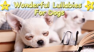 Sleep Music For Dogs Puppies Chihuahuas ♫ Calm Relax Your Dog Dog Music ♥ Lullaby For Pets Animals [upl. by Aslehc]