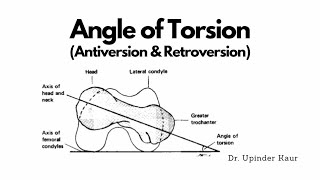 Angle of Torsion [upl. by Dulcle]