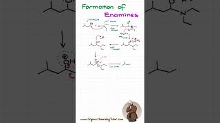 Enamine Formation organicchemistry organicchemistrytutor [upl. by Kumar805]