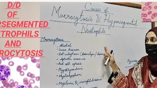 DD Of macrocytosis and hypersegmented neutrophils [upl. by Elleinnad]