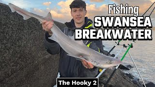 Fishing Swansea Breakwater for BIG Fish [upl. by Zoldi]