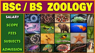 BSc Zoology  BS Zoology  Salary Scope Fees Subjects and Admission Criteria of BSc Zoology BS [upl. by Malet]