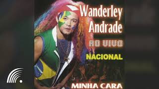 Wanderley Andrade  Minha Cara Nacional Ao Vivo  Álbum Completo [upl. by Erdrich460]