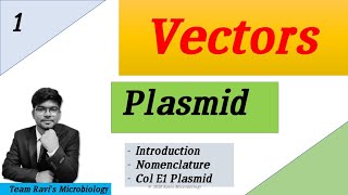 Plasmid  Clonning Vectors  ColE1 Plasmid  Hindi [upl. by Ingeborg]