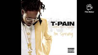 TPain  Im Sprung Remix ft Youngbloodz Pitbull amp Trick Daddy [upl. by Marr]