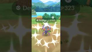 Shiny Dewpider Pokemon GO [upl. by Rip]