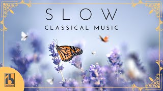 Slow Classical Music [upl. by Shoemaker894]