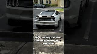 Mustang GT viralvideo sportscar youtubeshorts [upl. by Luthanen131]