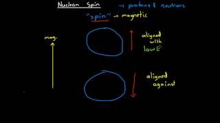 Nucleon Spin [upl. by Raynold]