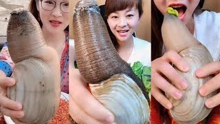 Chinese Girl Eat Geoducks Delicious Seafood 008  Seafood Mukbang Eating Show [upl. by Anerda638]