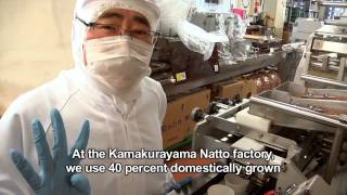 Process of making Natto [upl. by Enilraep]