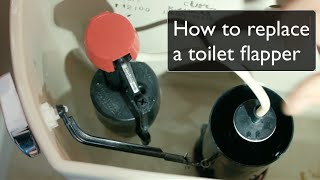 How to Replace A Toilet Flapper  by Best Plumbing Seattle WA 206 6331700 [upl. by Wun]