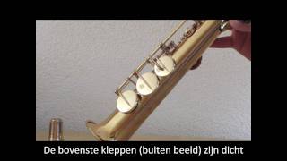 Low notes on a soprano saxophone [upl. by Aisaim]