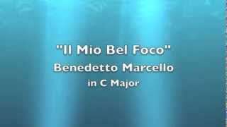 Il Mio Bel Foco Instrumental [upl. by Ennairrek]