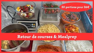 PETIT BUDGET 💰 Retour de Courses et Mealprep 🥣 6 idées économiques et 20 portions pour 26€ [upl. by Illoh]