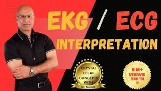 EKG Interpretation  Master Fundamentals of ECG  Electrocardiography [upl. by Cerell]