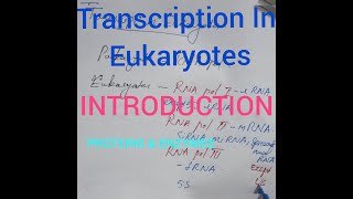 Transcription In Eukaryotes  Introduction  Proteins and Enzymes  In MALAYALAM [upl. by Adniroc567]