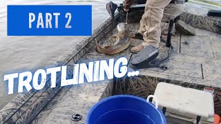 TROTLINE FISHING FOR RIVER CATFISH 😲😲😲”Part Twoquot [upl. by Tori457]