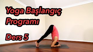 Yoga Başlangıç Programı Ders 5 [upl. by Girardi]