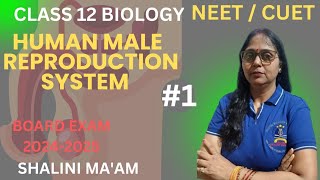 Introduction of Reproduction Class 12th I Reproduction in Organisms class 12 one shot NCERT I NEET [upl. by Chaille]