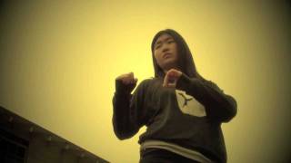 Choy Li Fut  13 Left and Right Lances Spear [upl. by Luci]