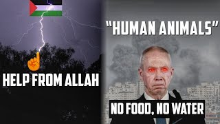 ALLAH SENT HELP TO PALESTNE IMMEDIATELY [upl. by Notniv822]